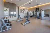 Courtyard Chihuahua - Gym