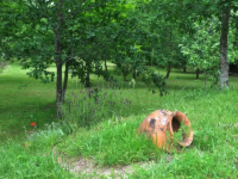 Paradise is Real at Vale Martinho Rosa ヴィミエイロのホテル