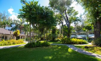 a lush green garden with tall palm trees and a winding path , surrounded by houses at Colony Club by Elegant Hotels