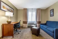 Comfort Inn & Suites Phoenix North - Deer Valley