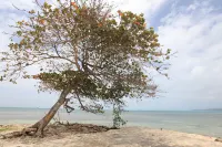 Apartamento en El Centro de San Andrés Islas Con Vista Al Mar- Edificio Bay Point 703