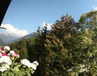 Apart Tuxertal - Mountain view