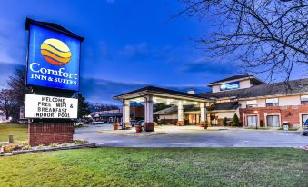 Comfort Inn & Suites Ambassador Bridge