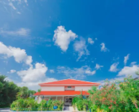 リトルマーメイドホテル石垣島 石垣やいま村周辺のホテル