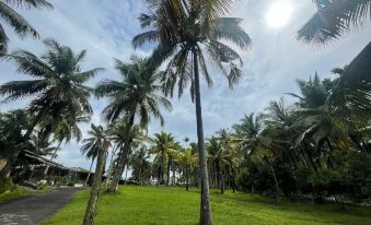 Rainforest Resort