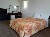 Hotel New Plaza Kurume - Wi-Fi
