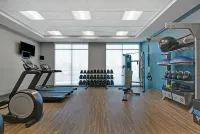 Hampton Inn & Suites by Hilton Middleburg - Gym