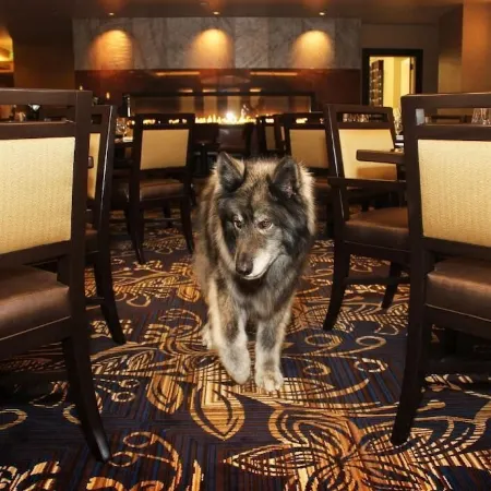 Jackson Rancheria Casino Resort