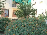 Affittacamere La Perla Hotel in zona La Spezia Migliarina