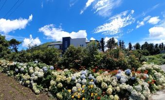 An Immature Pension in Jeju Island