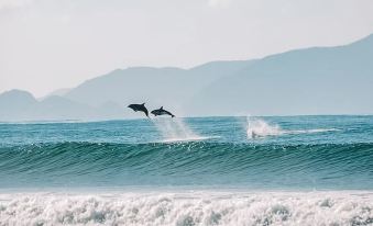 Aotearoa Surf Eco Pods
