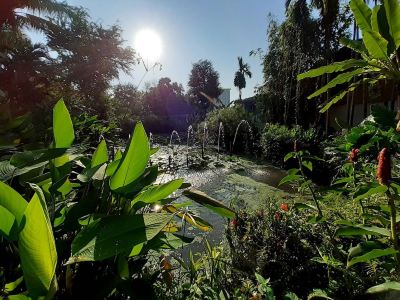 ホテル周辺 ヴィアン ターペー リゾートの写真