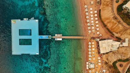 Domina Coral Bay Harem