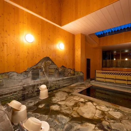 Hishino Onsen Yakushikan