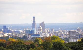 a view of the city skyline with a clear blue sky and trees in the foreground at Roseview Alexandra Palace Hotel