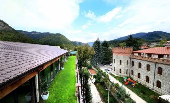 Borjomi Palace Health & Spa Center