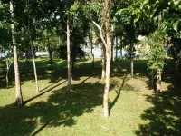Pineapple Island Resort Hotels in Daet