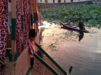 House Boat Royal Lodge