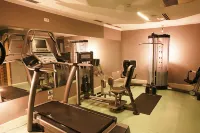 金色鬱金香安娜圓頂酒店 - 健身室/gym room