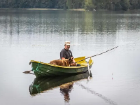 Tuomaantupa