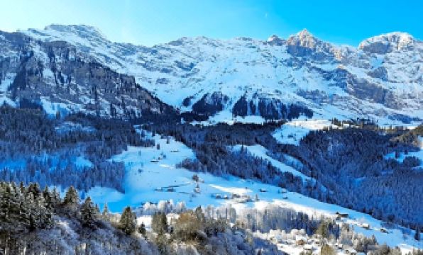 3. 게스트하우스 슈..