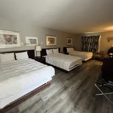 Satelite Motel
