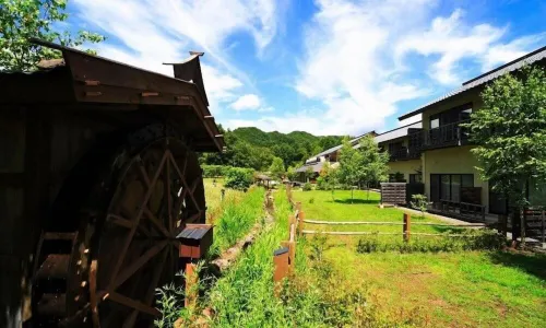 Tsutaya Tokinoyado Kazari