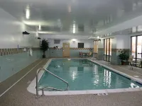 Hampton Inn Bellevue - Uima-altaat