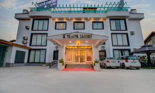 Hotel Sejour Luxury Srinagar