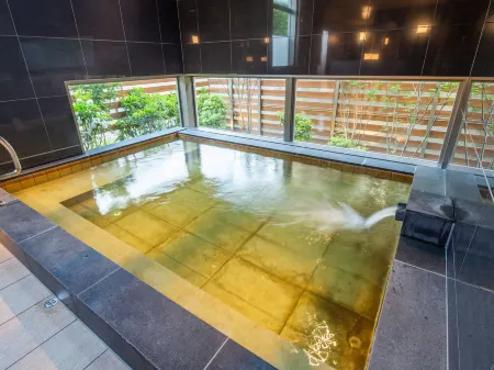 Nenn Nasukougen Отели рядом с достопримечательностью «Fujishiro Seiji Museum»