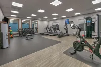 Hampton Inn & Suites by Hilton Port Lavaca - Træningscentre