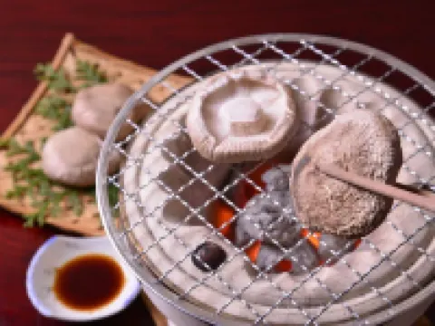 Yumotokan Hotels in Mino