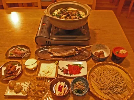 Pension Nishinosato Отели в г. уезд Нисисиракава