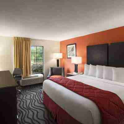 Days Inn by Wyndham Rome Downtown Rooms
