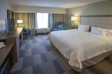 Hampton Inn & Suites New Orleans-Elmwood/Clearview Parkway Area