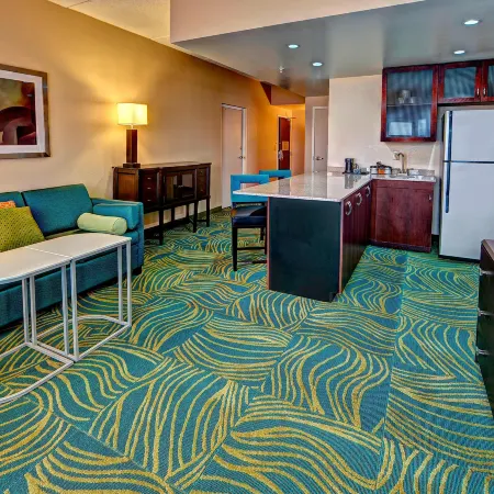 SpringHill Suites Norfolk Old Dominion University