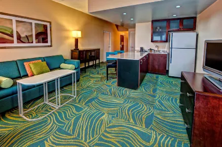 SpringHill Suites Norfolk Old Dominion University