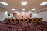 聖安東尼奧市中心/河濱區SpringHill Suites 飯店 - 寵物友善