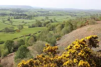 Gorgeous Lakeland cottage with delightful private garden. Free EV charging.