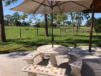 Luna’s Ranch
