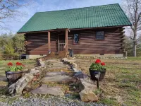 Birdwatchers Paradise: Secluded Cabin in the Woods on 4 acres