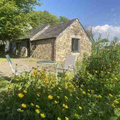 Cosy modern barn annex for two people. Hotel Exterior
