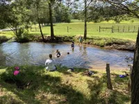 'Pond House' on Huge Horse Farm; Great for Young Families: Escape the City. Hotels in Orange County