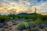 Chapala Court: 3BD/2BA w/ Fire Pit & Hot Tub