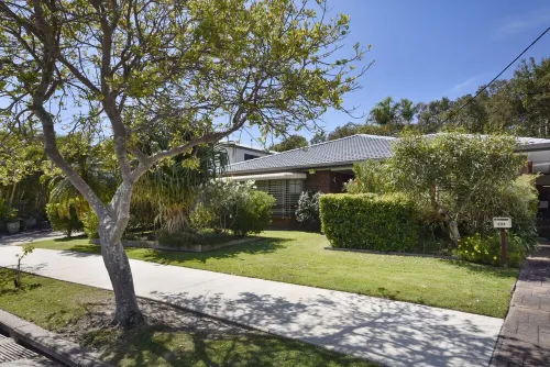 Absolute beachfront- Bush, Beach, Dogs, Relax!