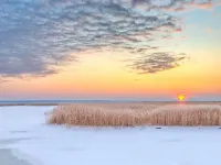 Modern Vacation Home with Garden & Terrace, 500m to the Beach, Free Wlan Hotel a Zingst