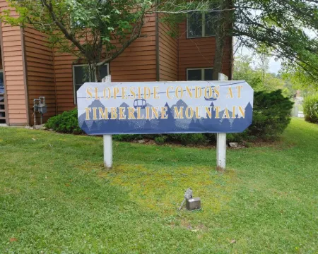 Walk to Dolly Sods, Enjoy Mountain Views + Gas Fireplace & Jacuzzi Tub! 3rd Fl. 塔克縣酒店