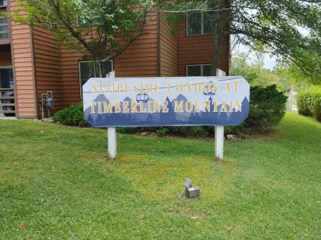 Walk to Dolly Sods, Enjoy Mountain Views + Gas Fireplace & Jacuzzi Tub! 3rd Fl.