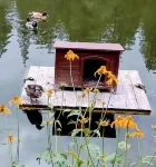 Mountain retreat with a beautiful veiw. Hotels in Otero County