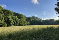 Secluded River access , restored farmhouse along Dry Fork River